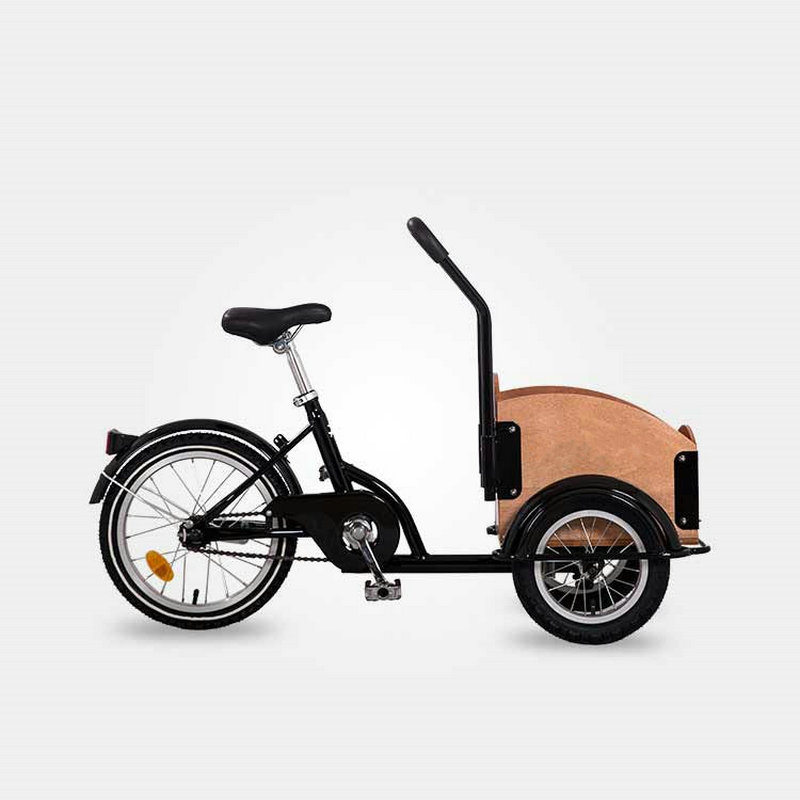 Front Box Cargo Bike For Kids  - Travel Accessories With Kids ulasan dan harga