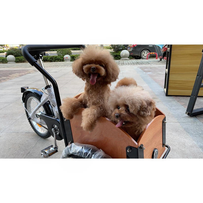 Front Box Cargo Bike For Kids  - Travel Accessories With Kids ulasan dan harga